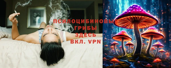 2c-b Аксай