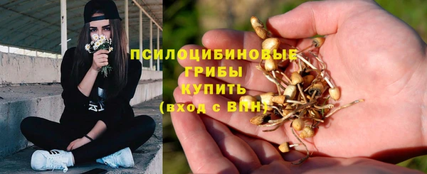 винт Зеленокумск